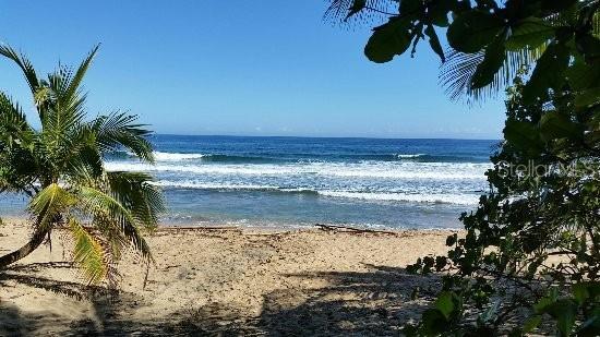 A sandy beach with a palm tree and ocean waves under a clear blue sky — Km 4.7 CARR 413 INT UNIT 102, RINCON, PR