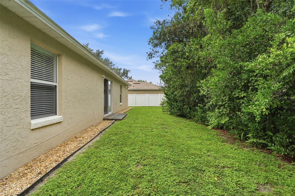 A side yard with a grassy lawn, a beige house wall, and dense green trees — 1302 BENTON LAKE DRIVE E, DELAND, FL
