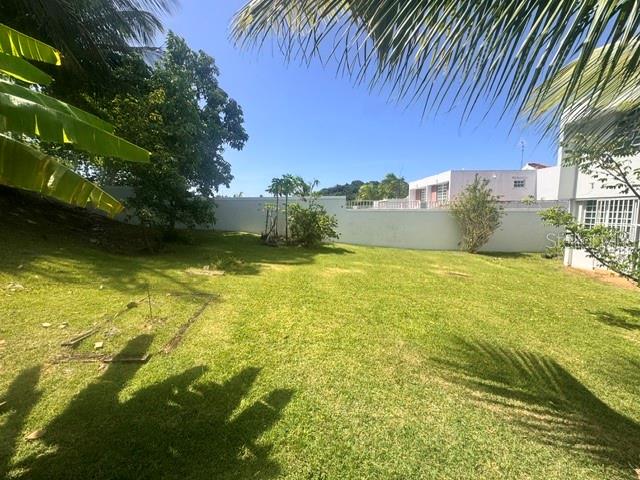 A grassy backyard features a white perimeter wall, palm trees, and a neighboring house — 03 RIO MAMEYES, LUQUILLO, PR