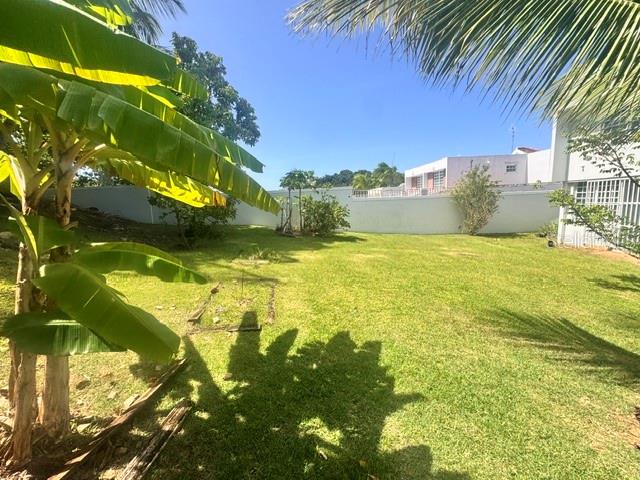 A grassy backyard features a banana tree in the foreground and a white perimeter wall — 03 RIO MAMEYES, LUQUILLO, PR
