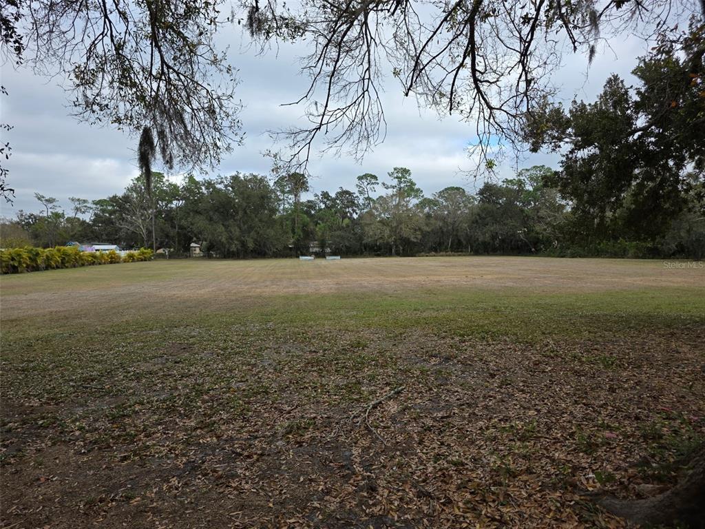 A wide, grassy lot is framed by mature trees under a cloudy sky — 4468 GREENWOOD STABLES ROAD, SARASOTA, FL