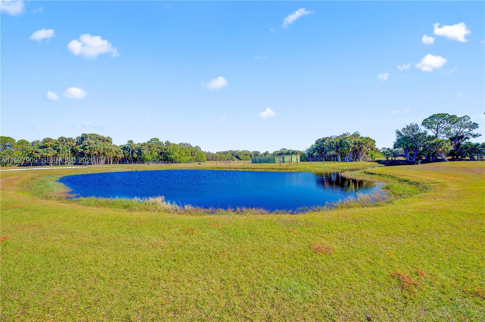 A grassy field surrounds a small pond under a clear blue sky — 30003 SW Martin Hwy, Okeechobee FL 34974, OKEECHOBEE, FL
