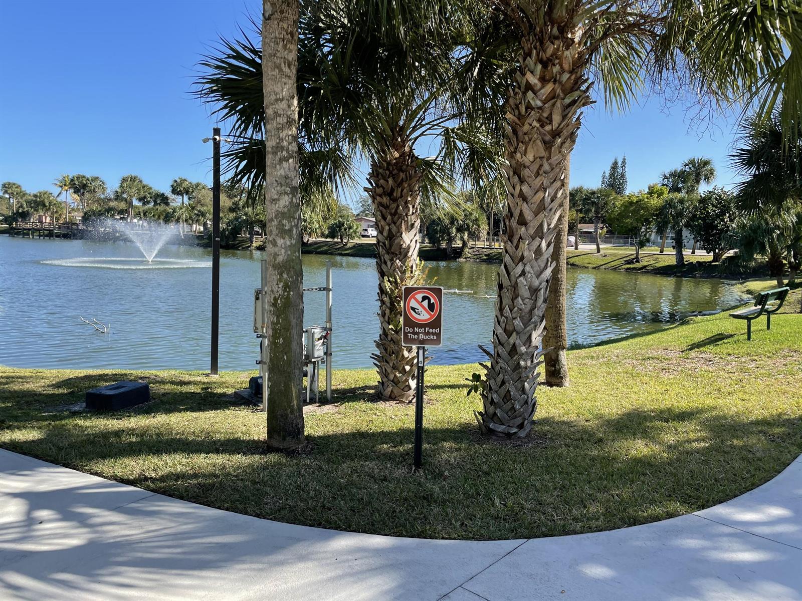 A park with a pond, a fountain, palm trees, and a sign prohibiting duck feeding — 705 Lori Drive # 315, Palm Springs FL 33461, PALM SPRINGS, FL