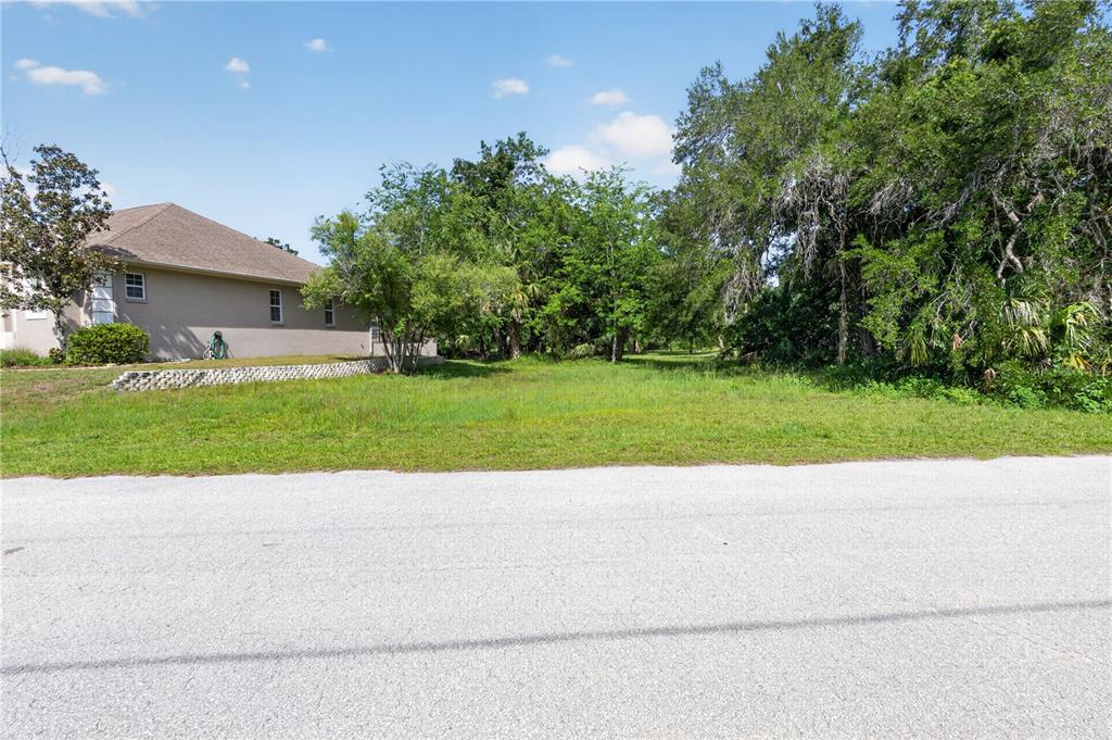 A vacant grassy lot sits next to a single-story house with a beige exterior — 4648 S GATOR LOOP, HOMOSASSA, FL