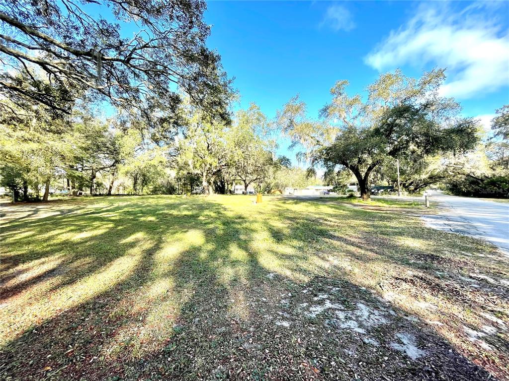 A grassy, tree-shaded vacant lot sits adjacent to a paved road on a sunny day — 14820 N 15TH STREET, LUTZ, FL