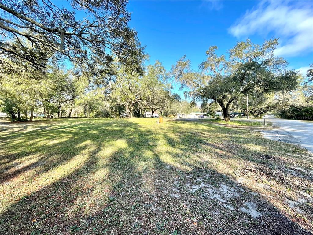 A grassy, tree-filled vacant lot sits adjacent to a paved road under a blue sky — 14820 N 15TH STREET, LUTZ, FL