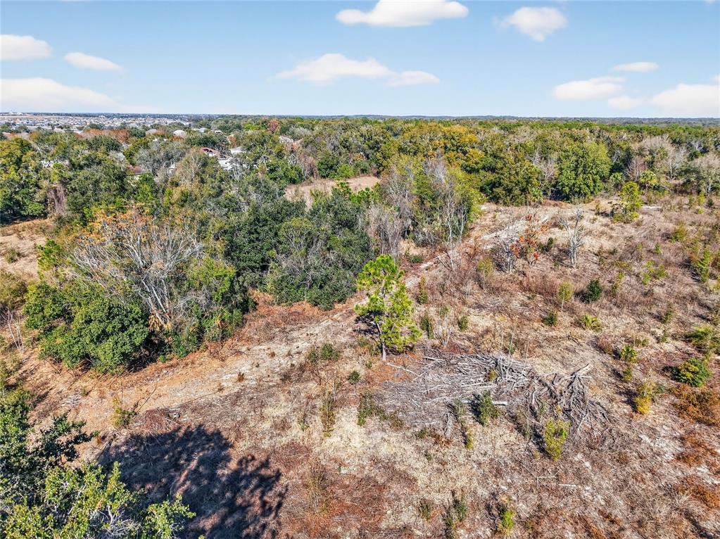 An aerial view shows a cleared, grassy lot bordered by dense trees and brush — MYRTLE LAKE AVENUE, FRUITLAND PARK, FL