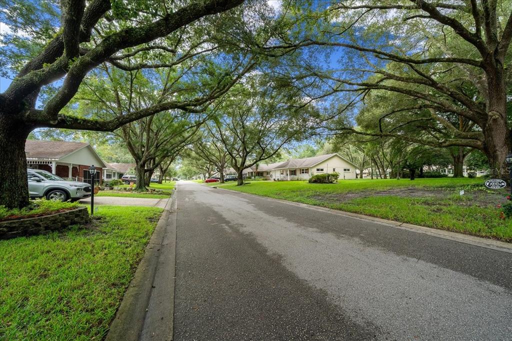A paved residential street lined with large oak trees and single-story houses under a blue sky — 8720 SW 97TH STREET UNIT F, OCALA, FL