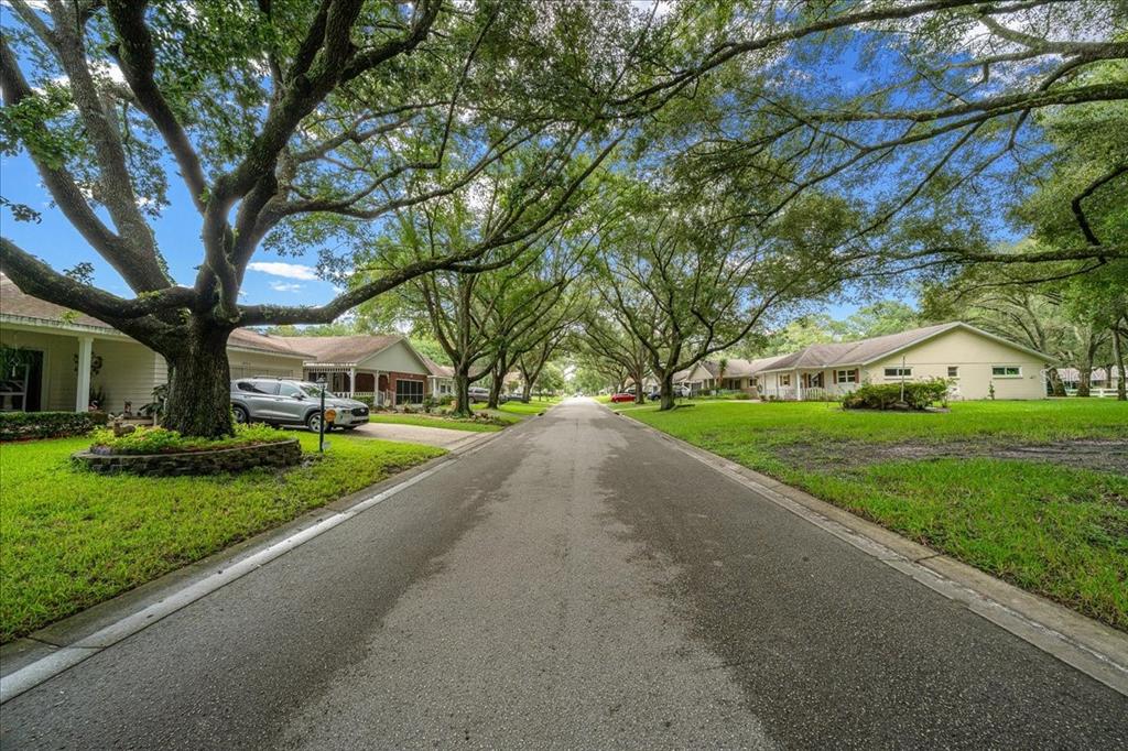 A quiet residential street lined with large oak trees and single-story houses under a blue sky — 8720 SW 97TH STREET UNIT F, OCALA, FL