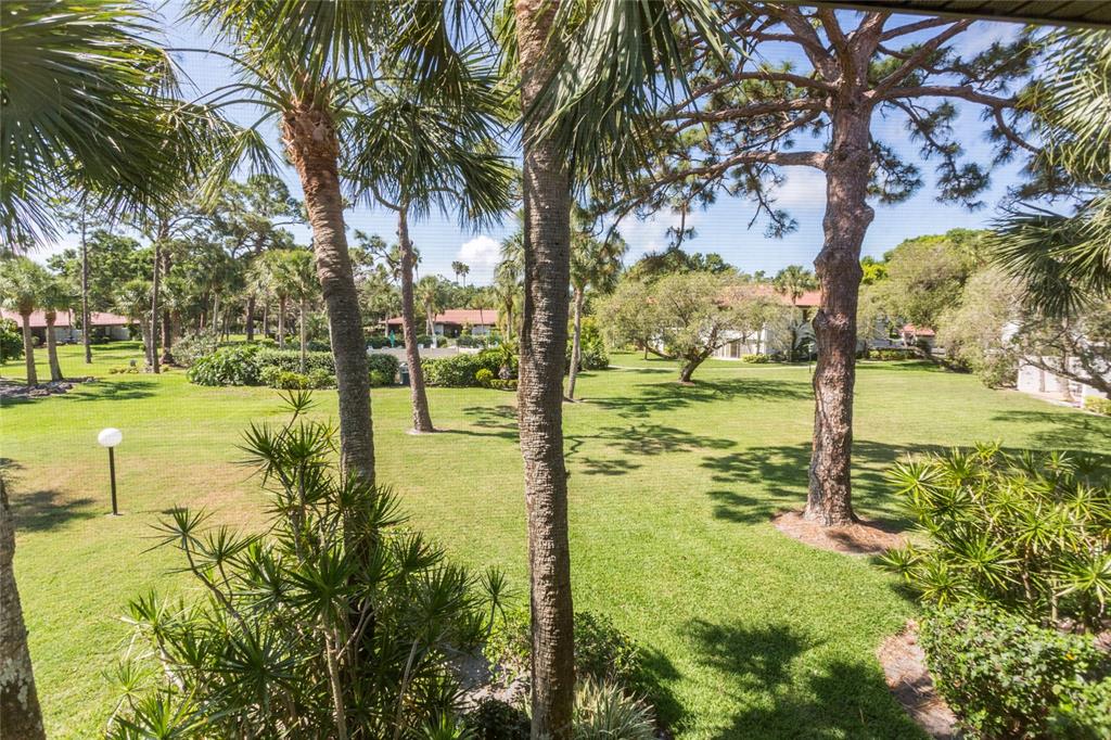 A view from a balcony overlooking a grassy lawn with palm trees and residential buildings — 3500 EL CONQUISTADOR PARKWAY UNIT 268, BRADENTON, FL