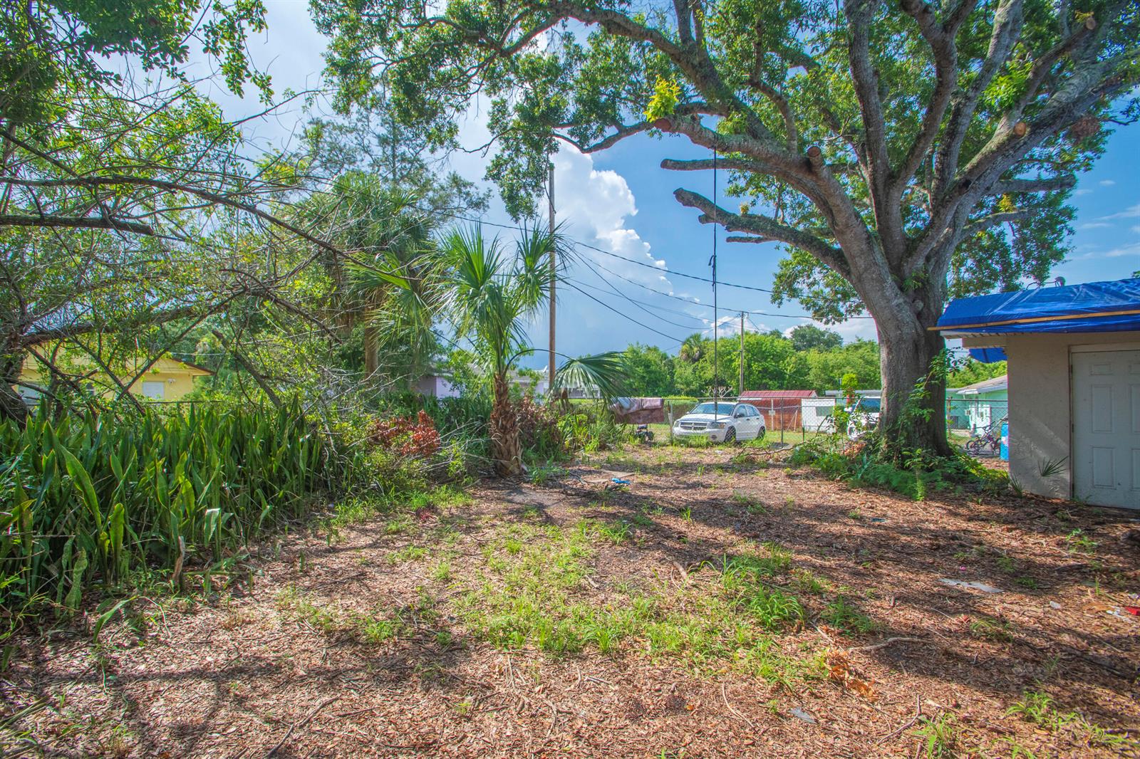 A large tree shades a dirt yard with a small palm tree and a shed — 4721 28th Court, Vero Beach FL 32967, VERO BEACH, FL