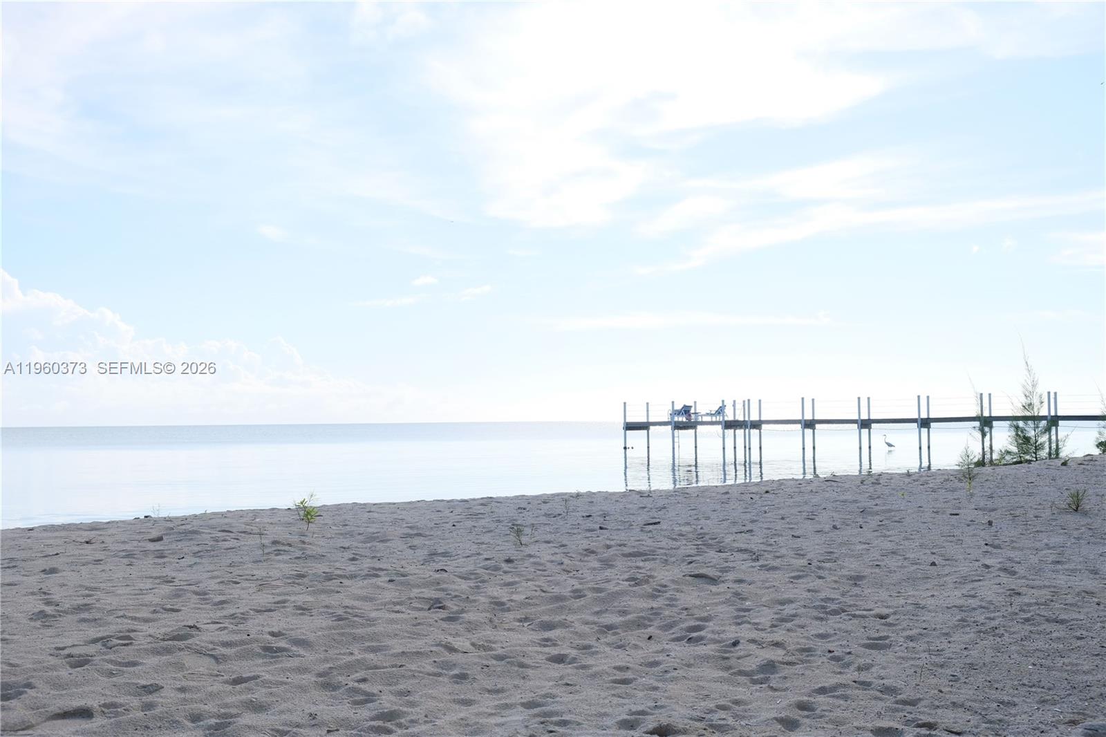 A long wooden dock extends from a sandy beach into a calm, open body of water — 1557 Long Beach Dr, FL 33043, FL