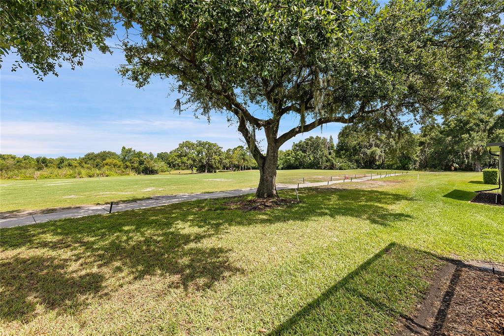 A large oak tree stands in a grassy yard overlooking an open field and path — 8107 PONKAN ROAD, LAND O LAKES, FL
