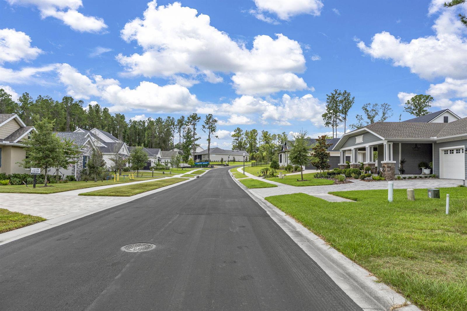 A paved residential street leads through a suburban neighborhood with single-family homes under a blue sky — 5049 Elm Leaf Drive, FL 34601, FL