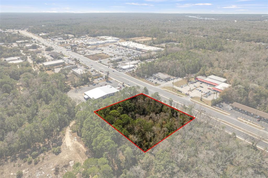 An aerial view shows a wooded, rectangular plot of land outlined in red near a road — 8541 W FAUST LANE, HOMOSASSA, FL