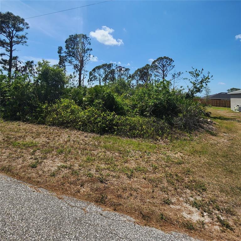 A vacant, overgrown residential lot with trees and shrubs sits next to a paved road — 12282 APPLEBERG CIRCLE, PORT CHARLOTTE, FL