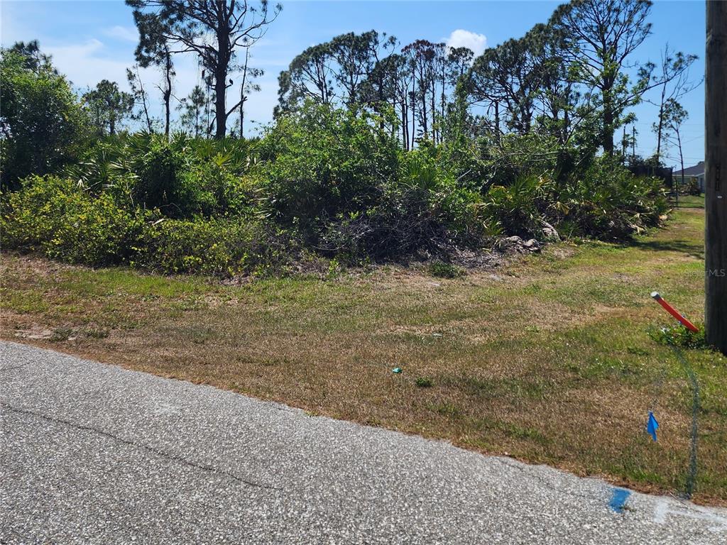 A vacant, overgrown residential lot with trees and shrubs sits next to a paved road — 12282 APPLEBERG CIRCLE, PORT CHARLOTTE, FL