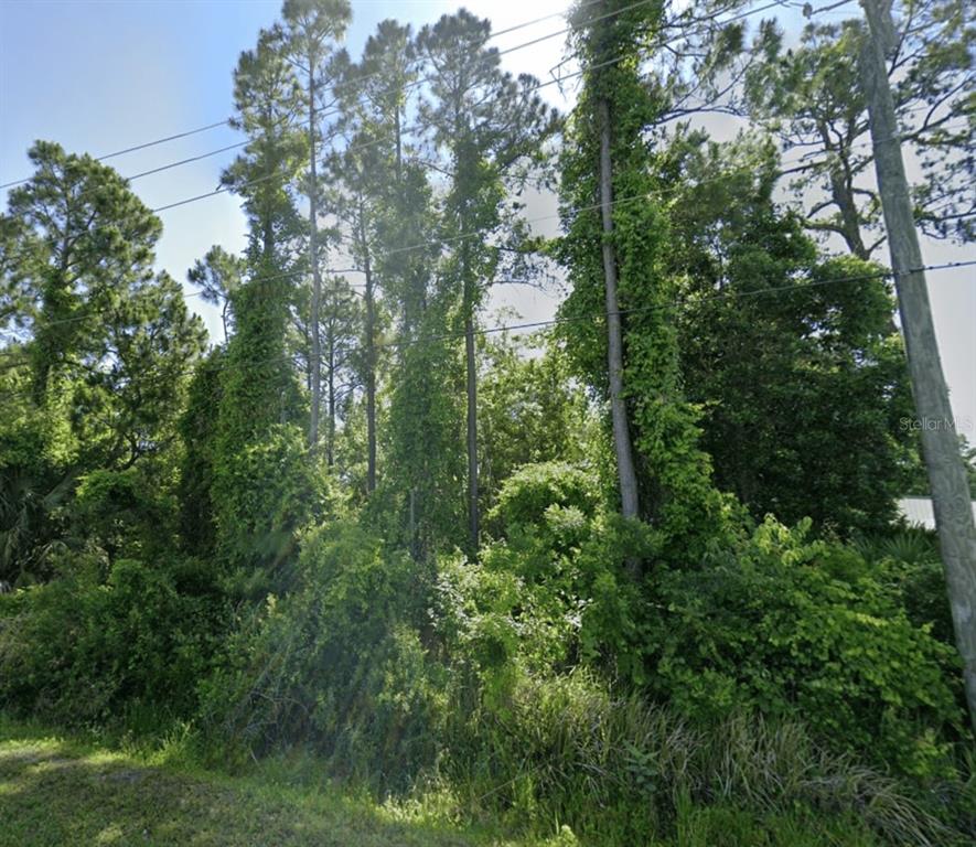 DOBBS ROAD, ST AUGUSTINE, FL — photo 3 of 4