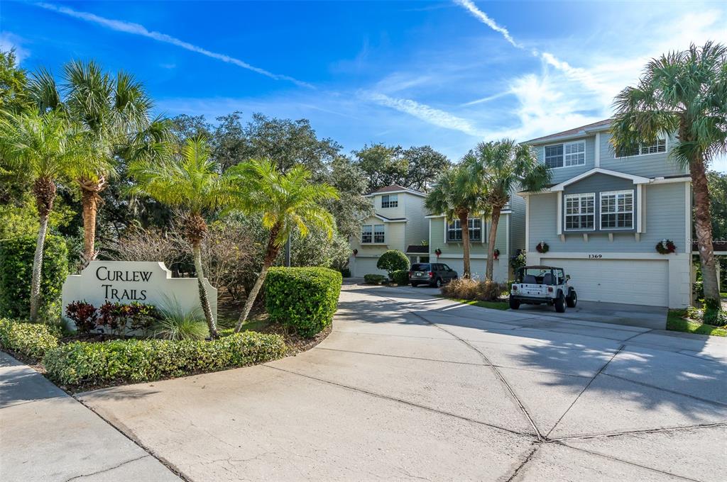 A sign for Curlew Trails stands at the entrance to a residential driveway with houses — 1381 CURLEW ROAD, DUNEDIN, FL