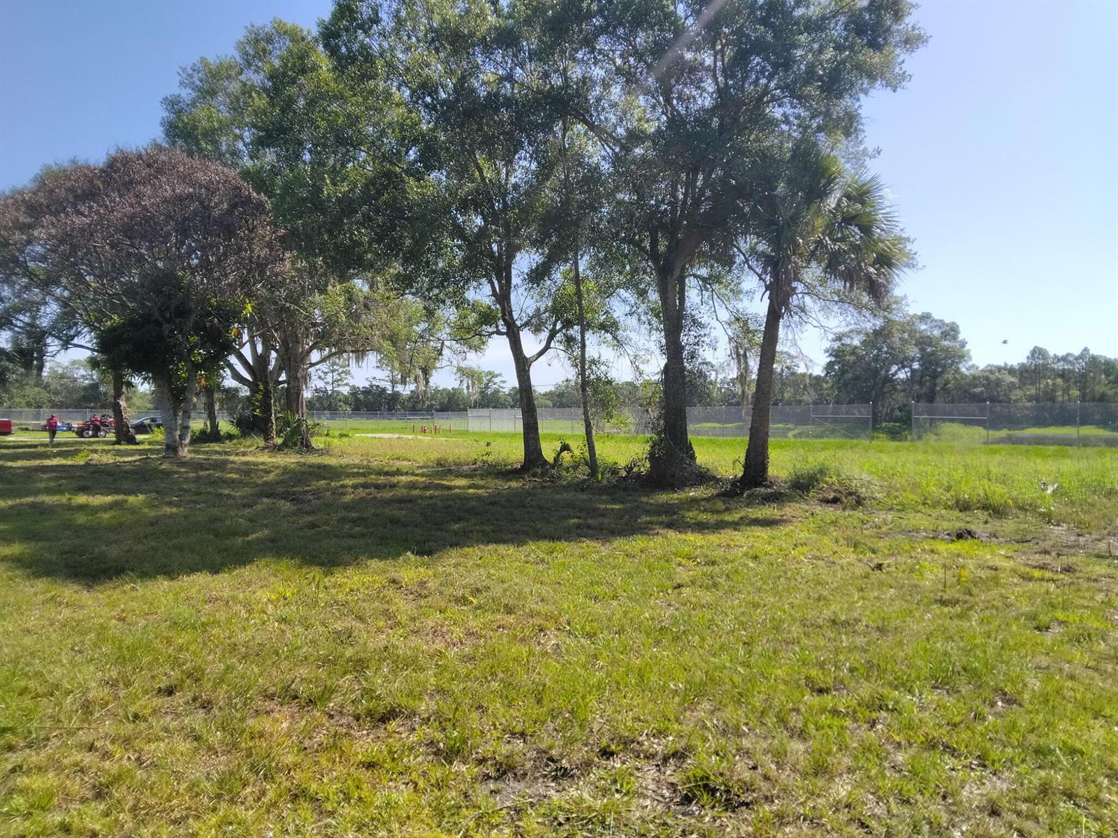 A grassy field features a cluster of mature trees under a clear blue sky — FELLSMERE, FL