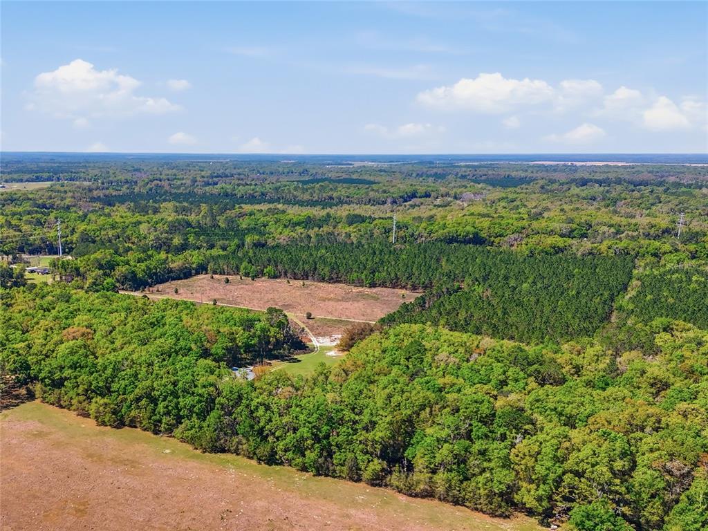 An aerial view shows a large, partially cleared plot of land surrounded by dense forest — 11791 SW 143 STREET, ARCHER, FL