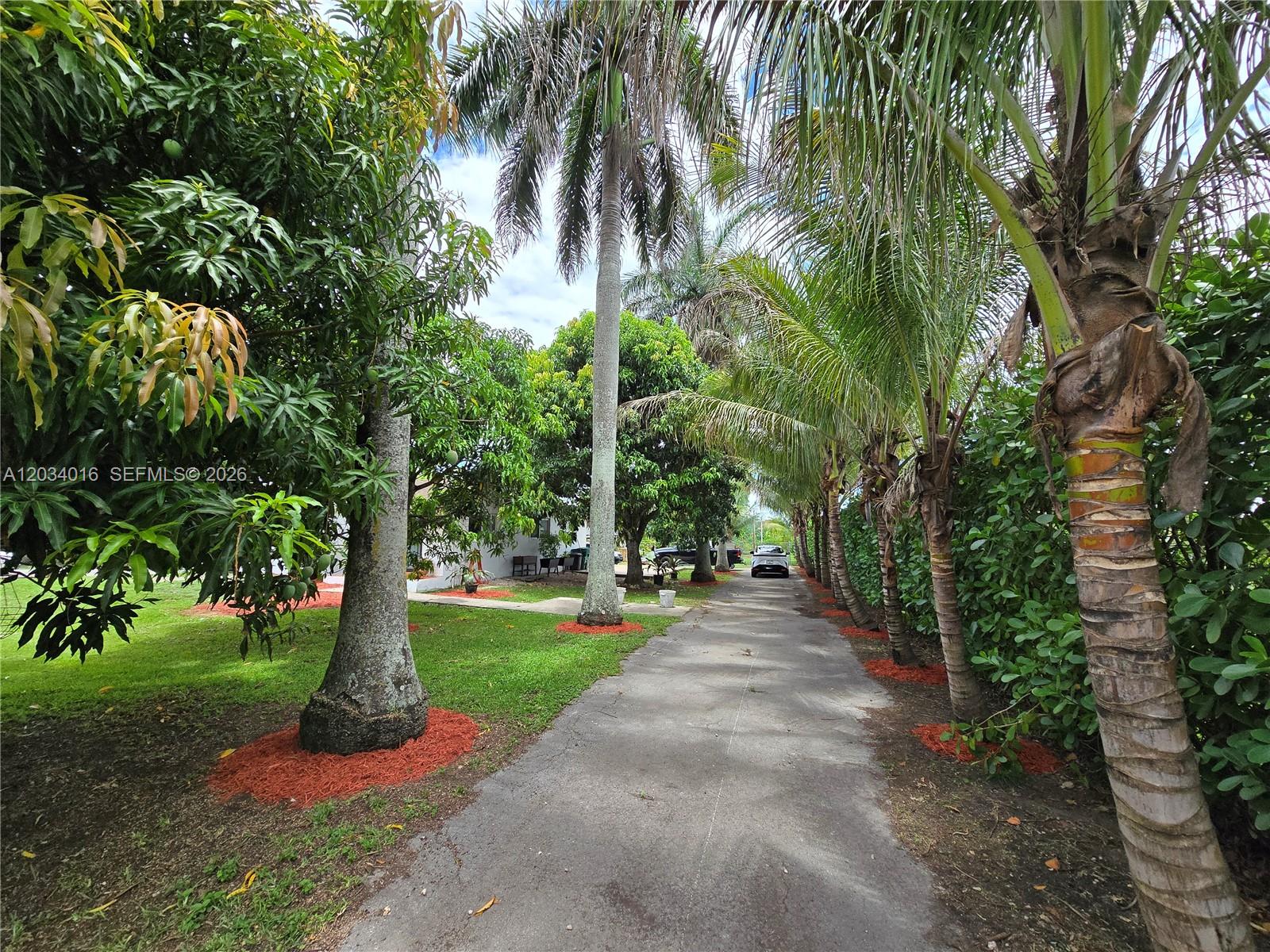 A paved driveway leads toward a house, flanked by palm trees and lush green landscaping — 20595 SW 190th St, Miami FL 33187, MIAMI, FL