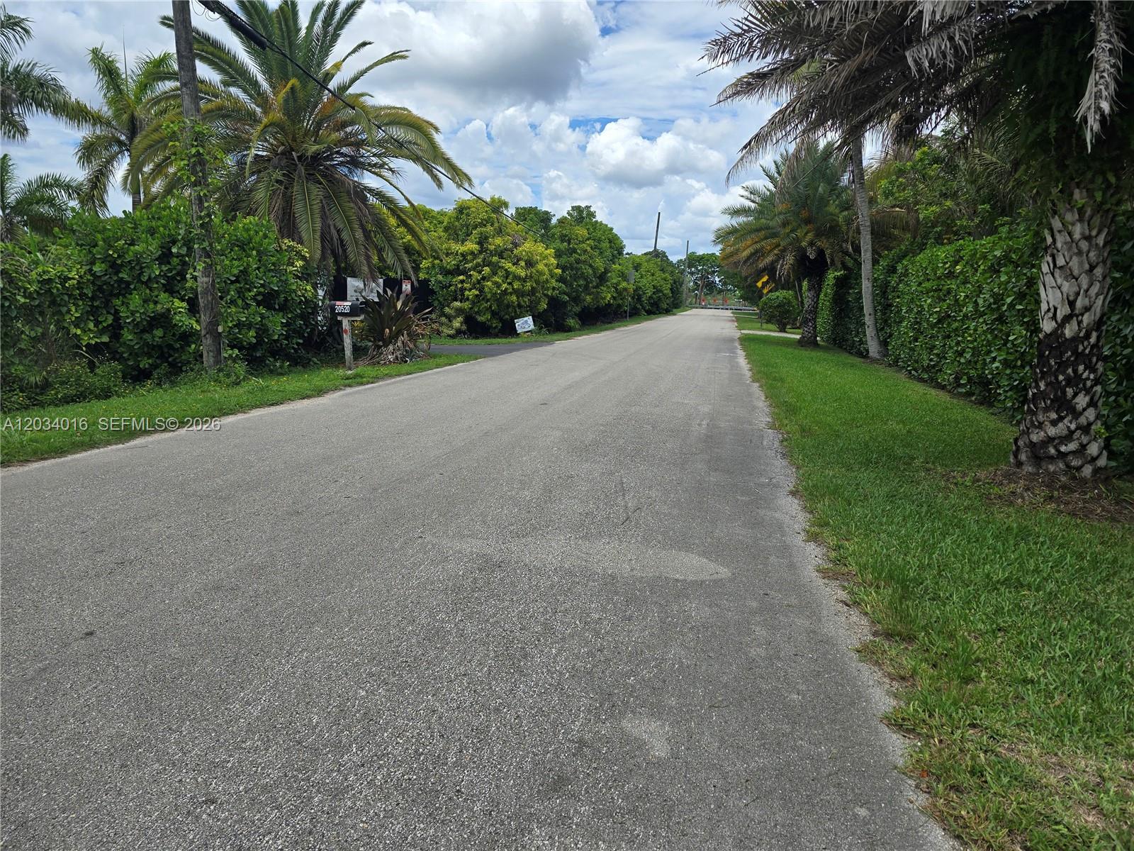 A paved road stretches into the distance, flanked by lush green trees and palm trees — 20595 SW 190th St, Miami FL 33187, MIAMI, FL