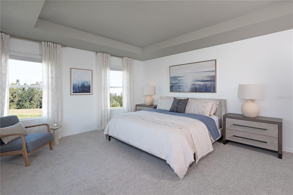 A bedroom features a tray ceiling, two windows, a bed with blue accents, and a chair — 7536 DEER VALLEY CIRCLE, TAMPA, FL