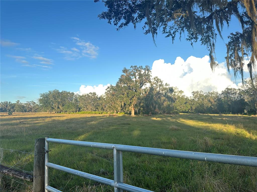 0 POLK ROAD, WAUCHULA, FL — photo 2 of 25