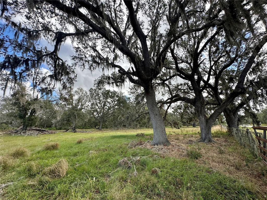 0 POLK ROAD, WAUCHULA, FL — photo 5 of 25