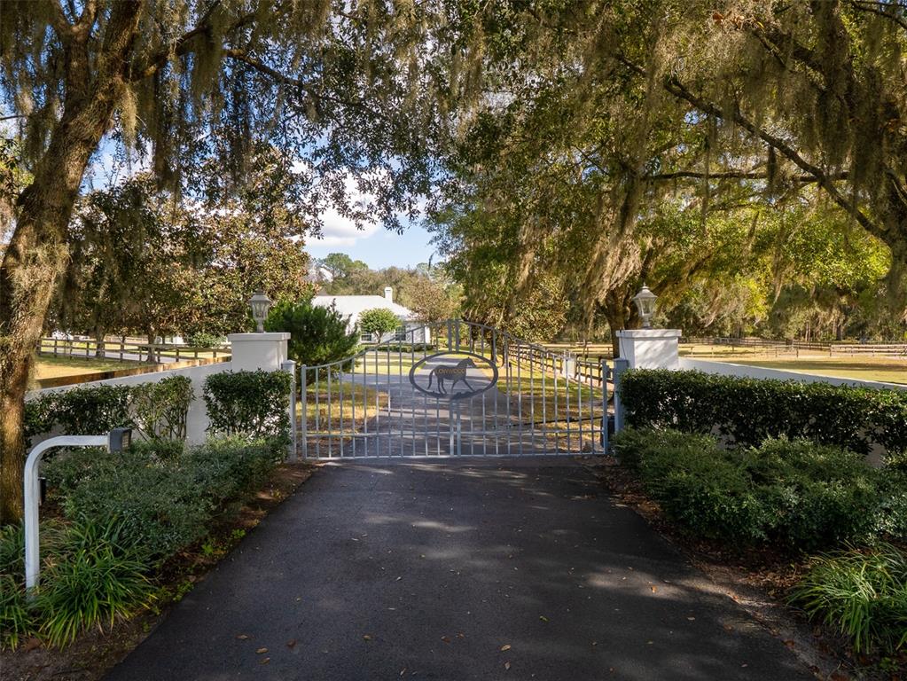 A gated entrance with a horse emblem leads to a driveway and a white house — 7575 NW 90TH AVENUE, OCALA, FL