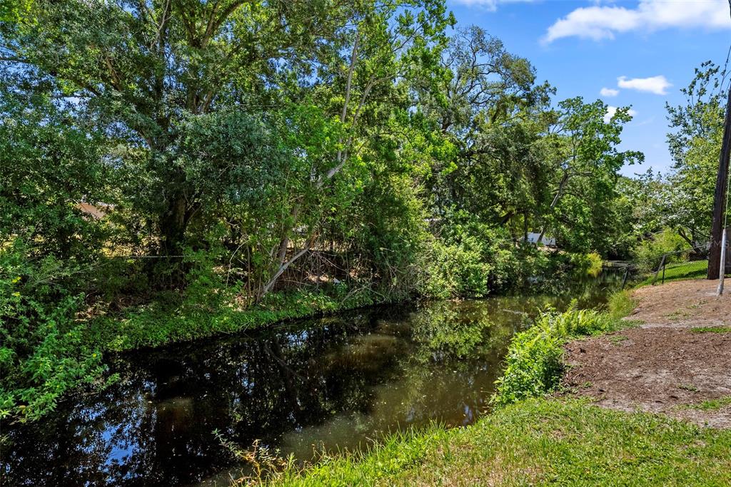 A single-story house with a large tree in the front yard and a concrete driveway — 1413 EMBASSY DRIVE, CLEARWATER, FL