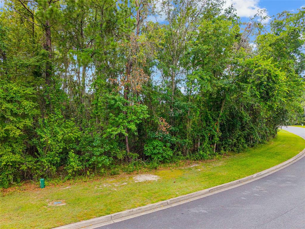 A curved asphalt road borders a grassy lot with dense trees and vegetation — 2645 NW 106TH WAY, GAINESVILLE, FL