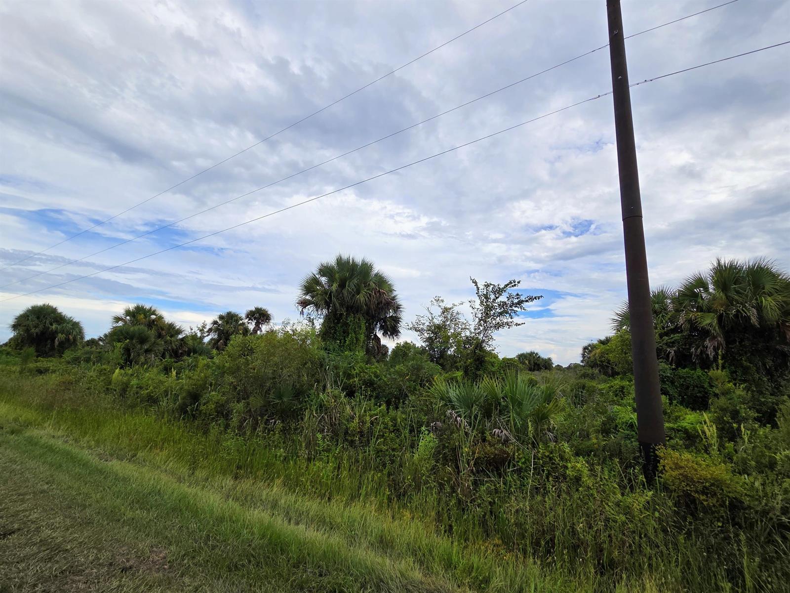 A utility pole stands beside a dense area of trees and shrubs under a cloudy sky — 21018 NW 278th Street, Okeechobee FL 34972, OKEECHOBEE, FL