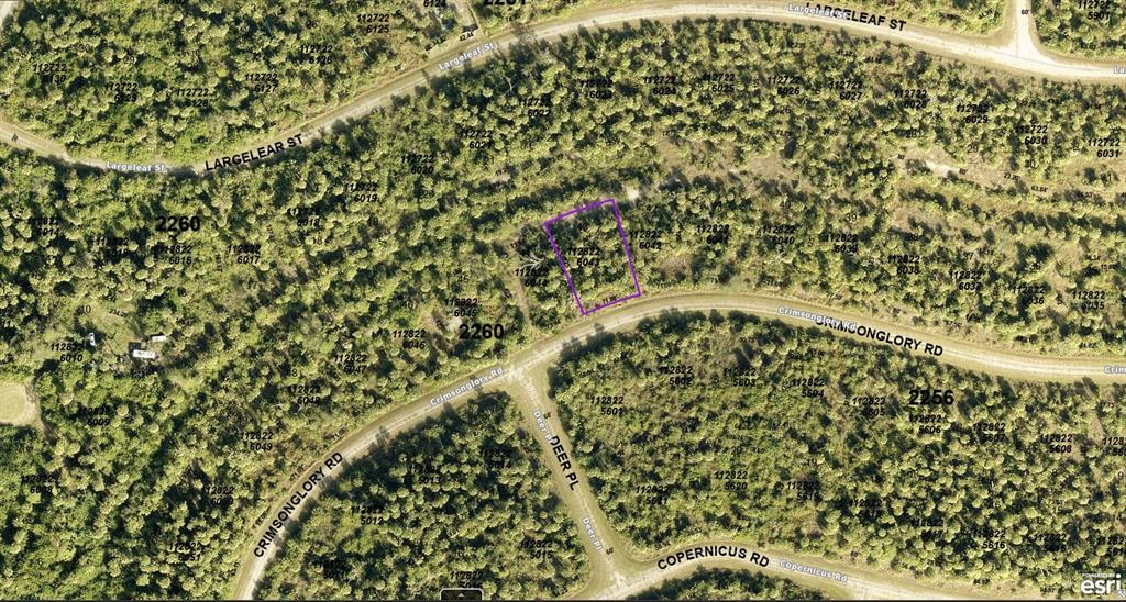 This is an aerial map showing a highlighted vacant lot surrounded by wooded residential streets — 1128226043 CRIMSONGLORY ROAD, NORTH PORT, FL