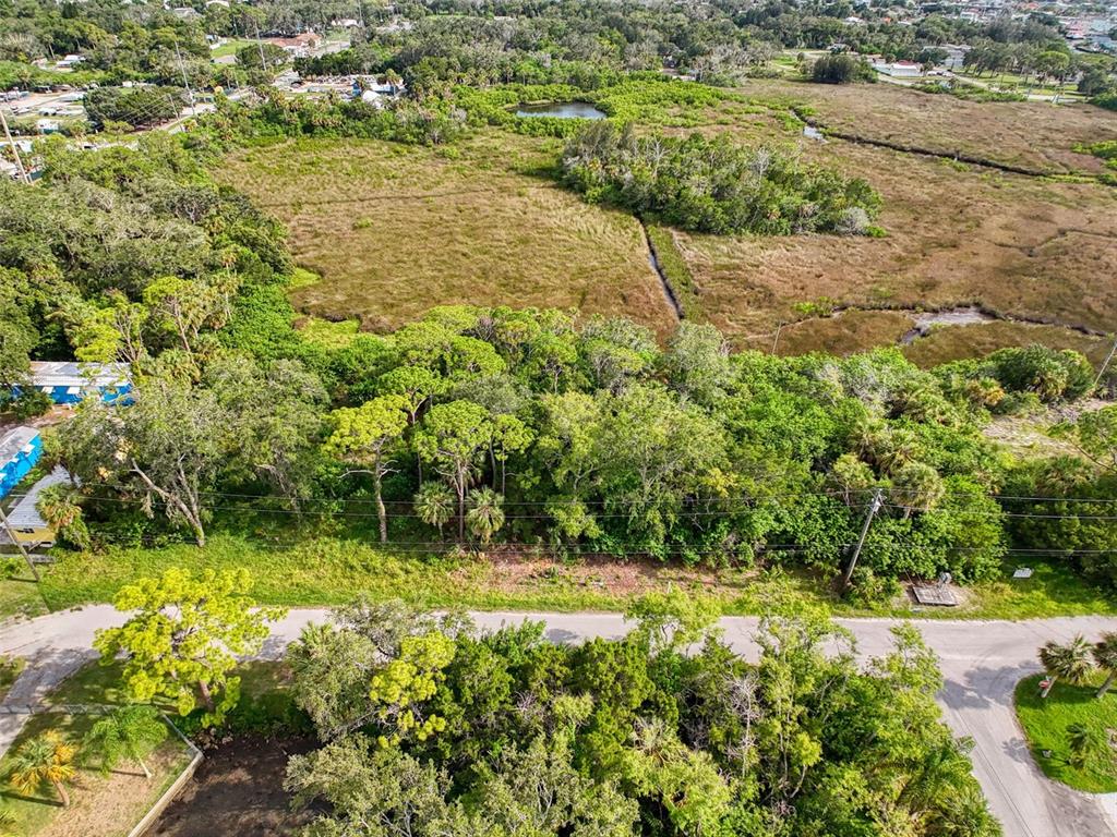 An aerial view shows a wooded lot bordering a large grassy marsh and a paved road — LOT 8 NOWIKI AVENUE, HUDSON, FL