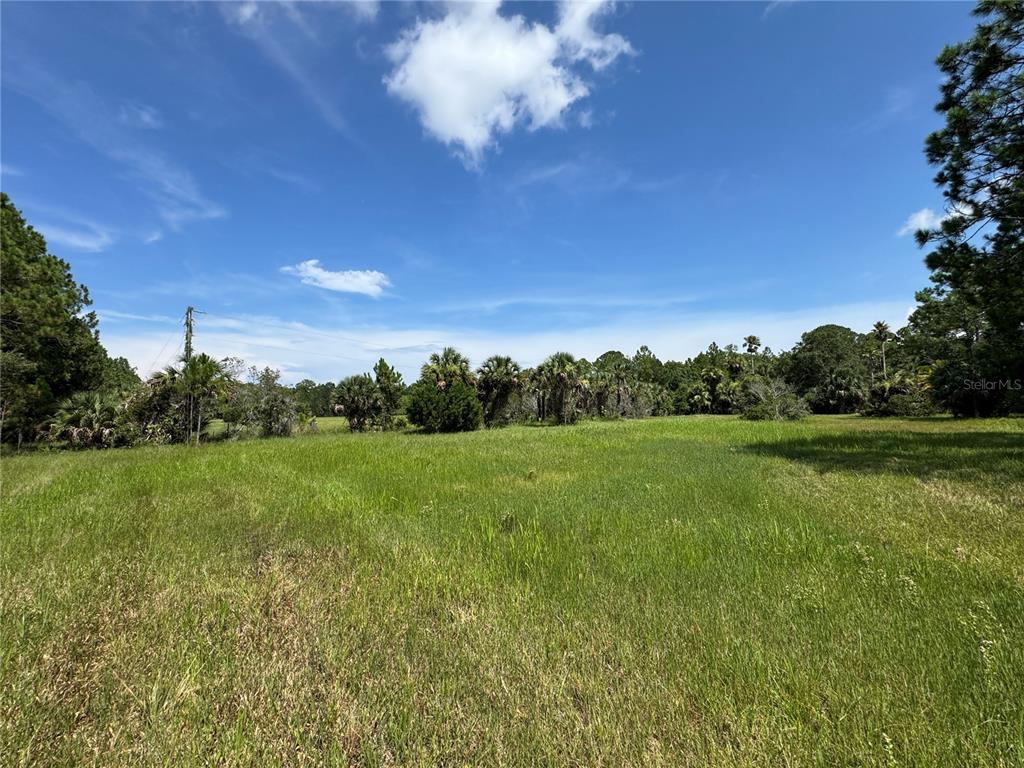 4300 JUSTA ROAD, MIMS, FL — photo 3 of 30