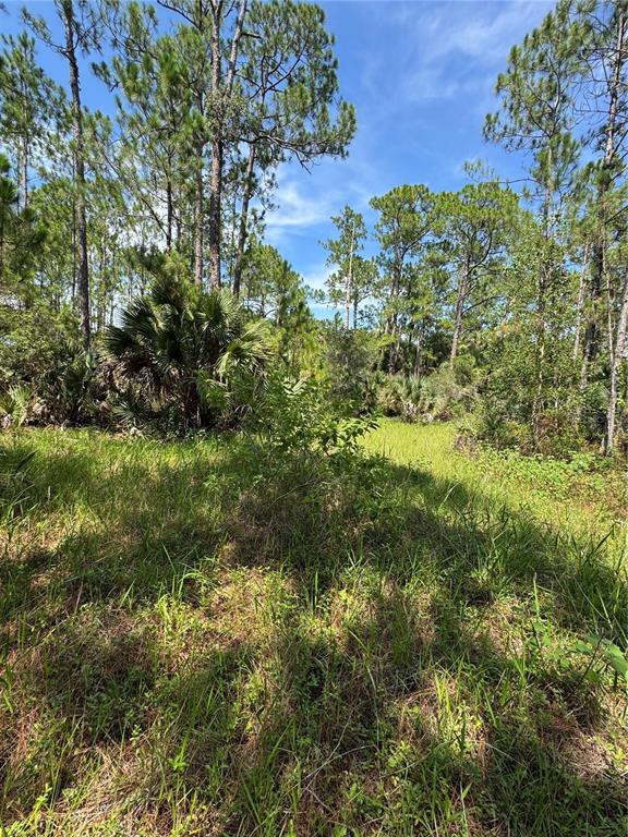 4300 JUSTA ROAD, MIMS, FL — photo 4 of 30