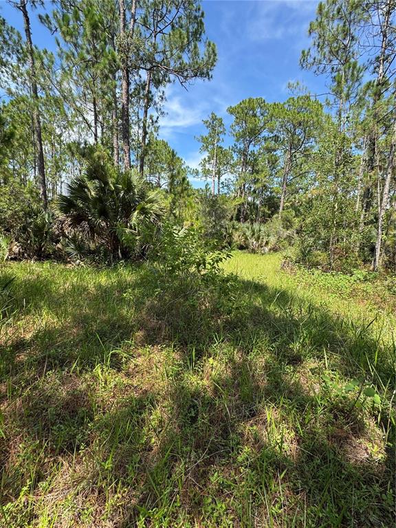 4300 JUSTA ROAD, MIMS, FL — photo 5 of 30