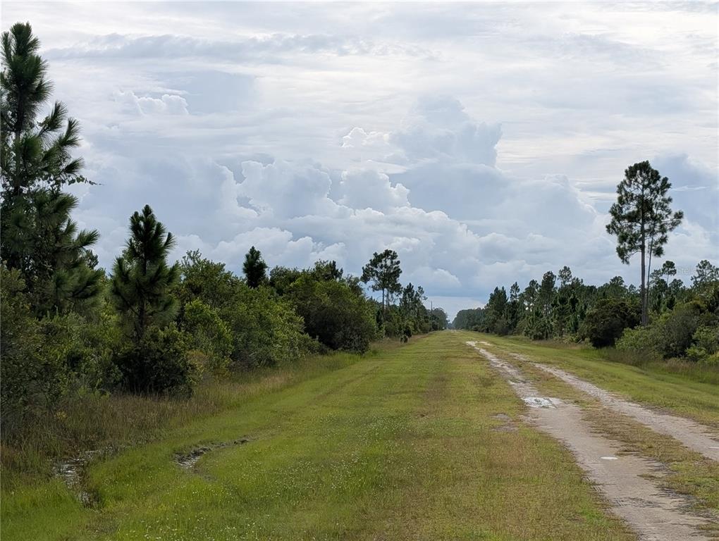 A dirt path runs through a grassy field lined with pine trees under a cloudy sky — 213 BELMONTE DRIVE, INDIAN LAKE ESTATES, FL
