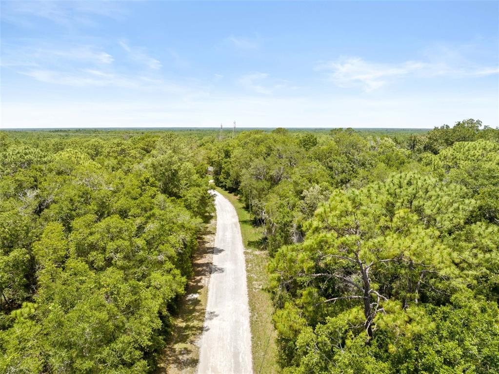 An aerial view shows a narrow dirt road winding through a dense, wooded forest — 0 RICEBIRD AVENUE LOT 10-11, WEEKI WACHEE, FL