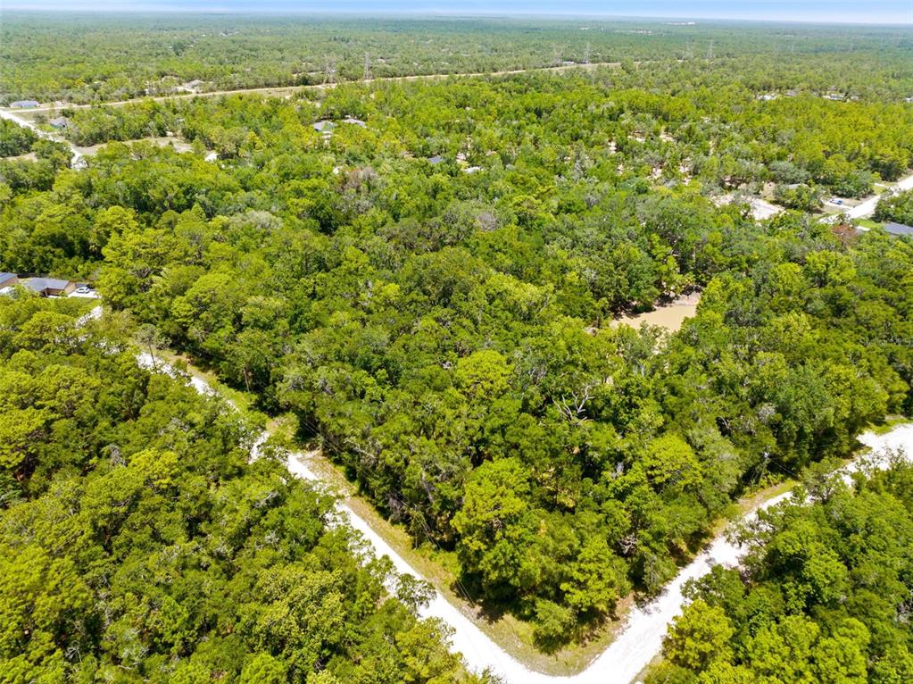 An aerial view shows a wooded, undeveloped lot bordered by two dirt roads — 0 RICEBIRD AVENUE LOT 10-11, WEEKI WACHEE, FL