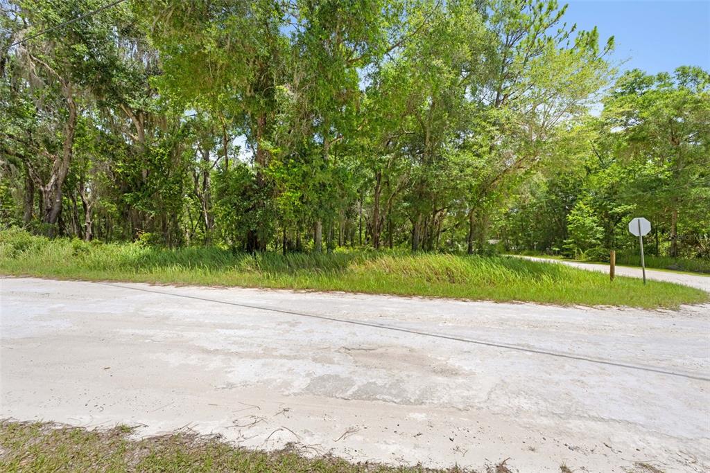 A dirt road curves past a wooded lot with a stop sign on the right — 0 RICEBIRD AVENUE LOT 10-11, WEEKI WACHEE, FL