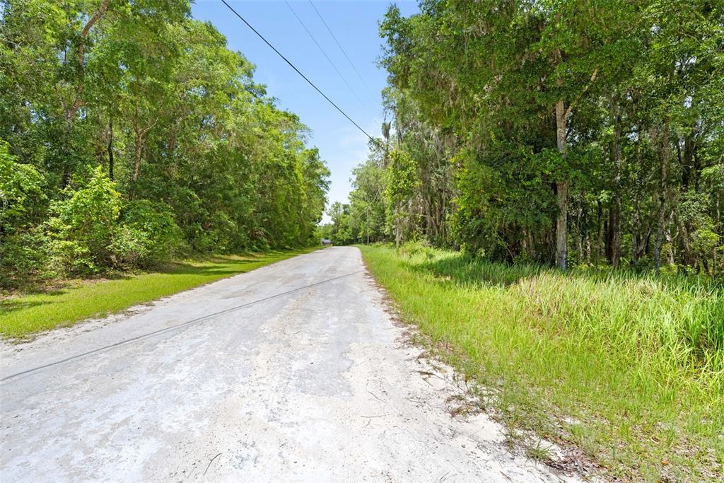 A dirt road stretches through a wooded area under a clear blue sky — 0 RICEBIRD AVENUE LOT 10-11, WEEKI WACHEE, FL