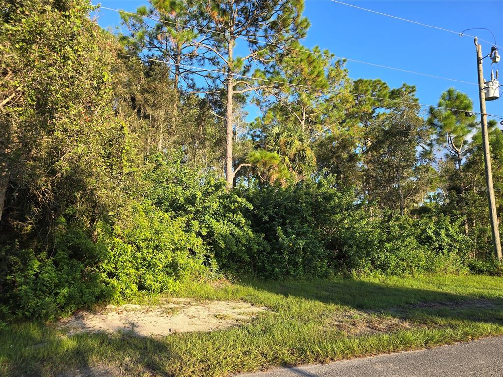 A vacant, wooded lot with dense vegetation and a utility pole along the roadside — 6012 SARA AVENUE N, LEHIGH ACRES, FL