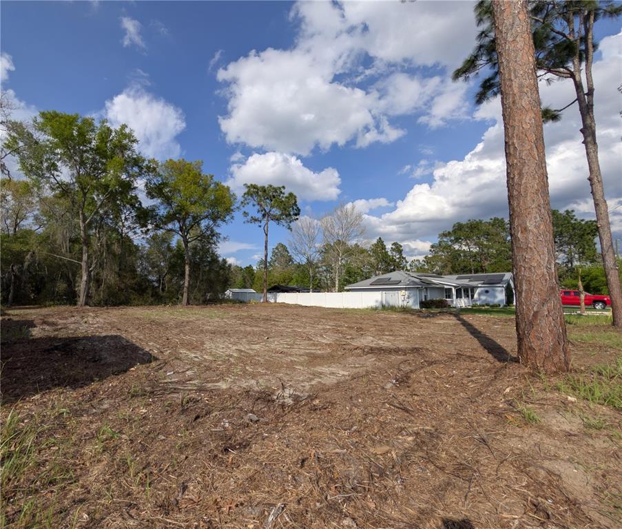 (TBD 202) LOCUST RD, OCALA, FL — photo 5 of 9