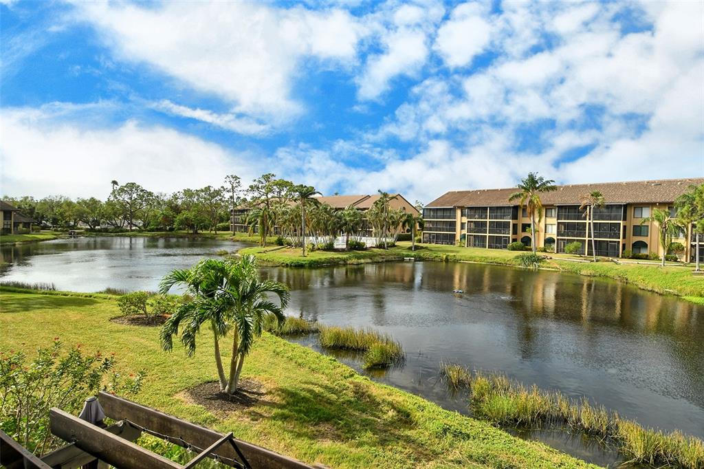 A view of a pond surrounded by apartment buildings and palm trees under a sky — 5644 ASHTON LAKE DRIVE UNIT 5644, SARASOTA, FL