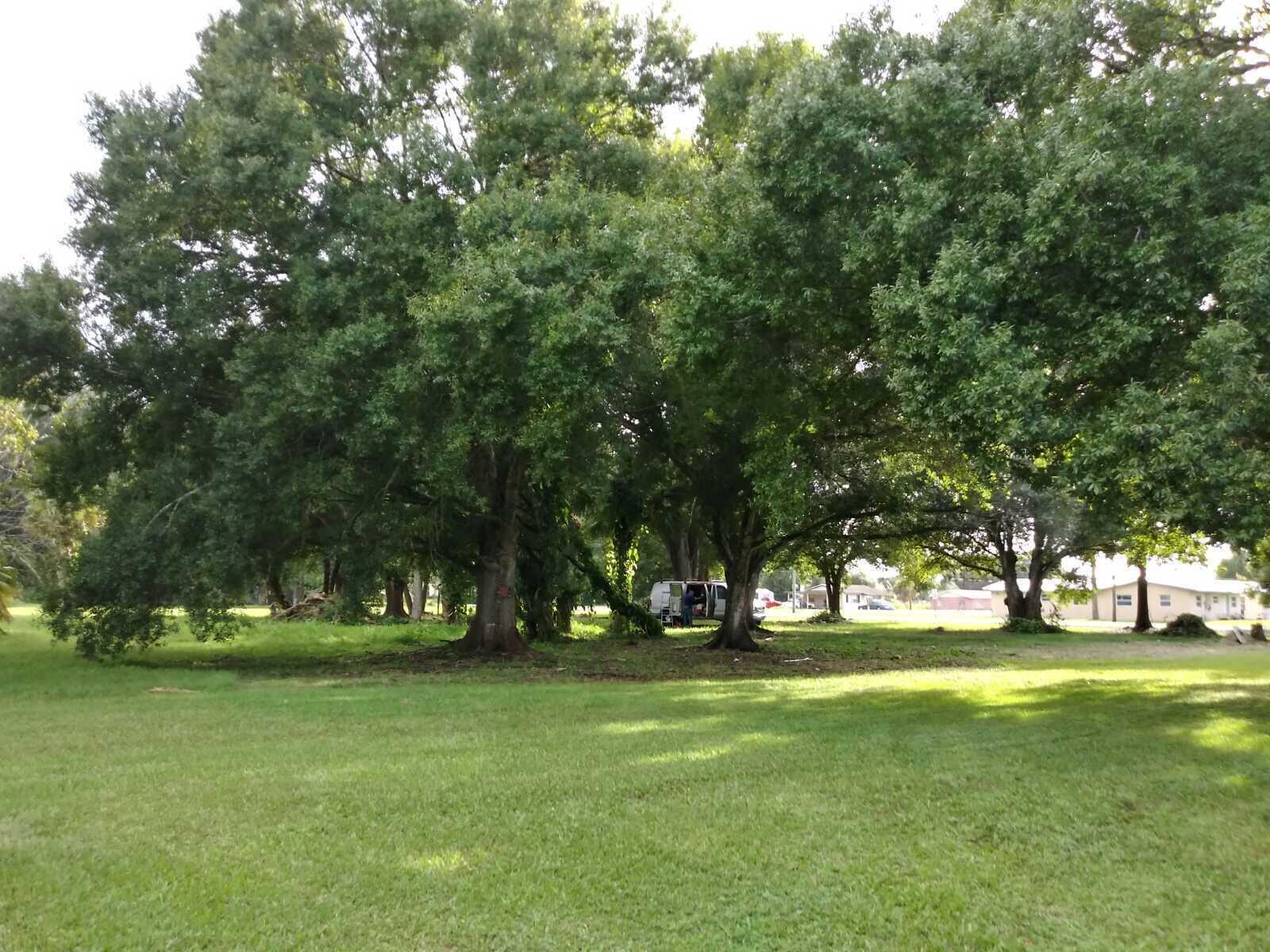 A large grassy yard features several mature oak trees and a parked white van — 810 NW 10th Street, Okeechobee FL 34972, OKEECHOBEE, FL