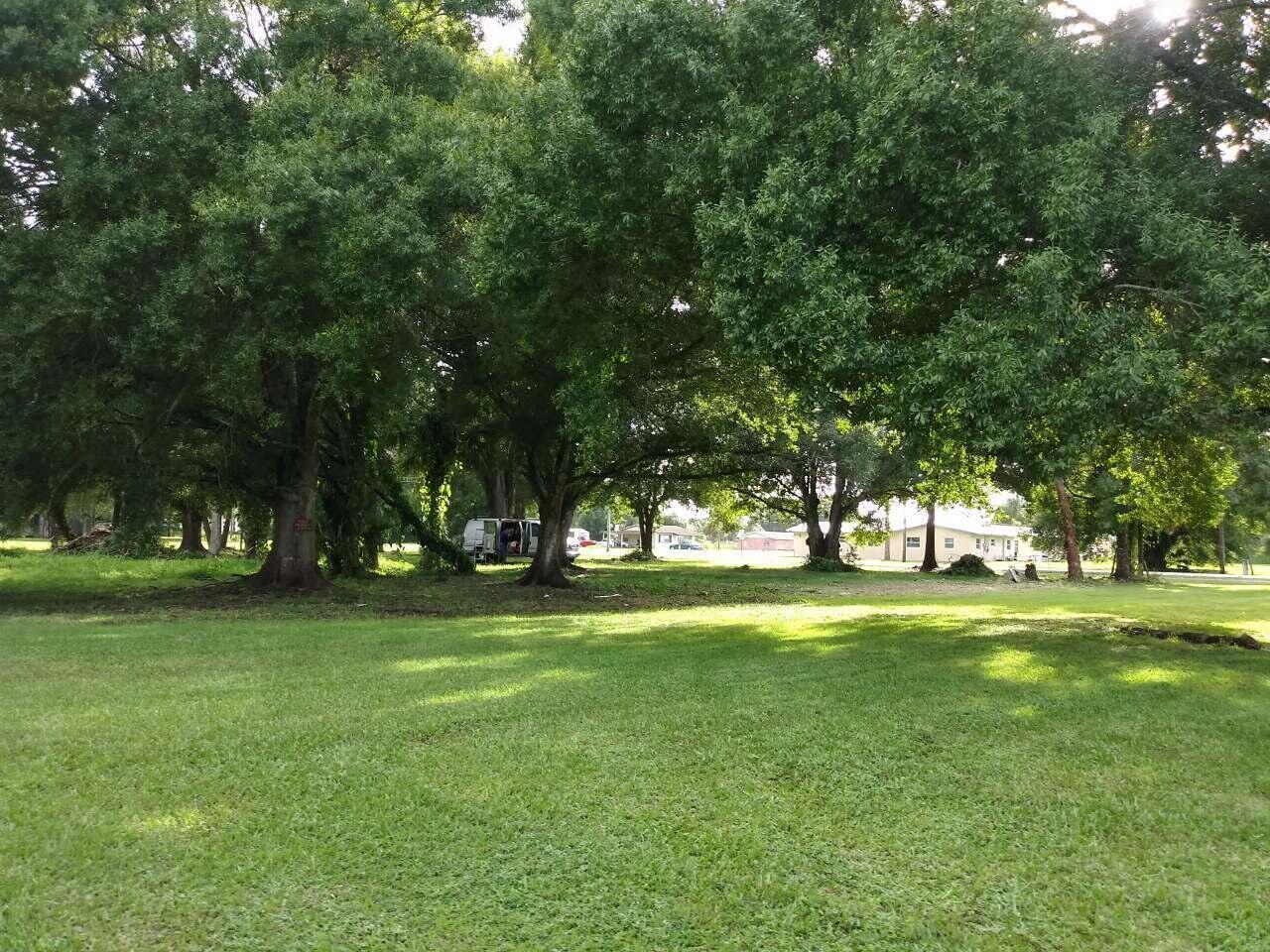 A large, grassy lawn is framed by mature trees with houses visible in the distance — 810 NW 10th Street, Okeechobee FL 34972, OKEECHOBEE, FL