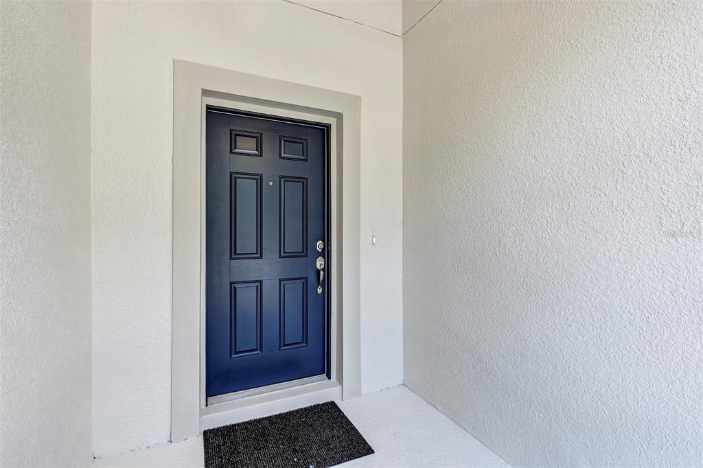 A dark blue front door with a gray frame is set against a white wall — 26868 WHITE PLAINS WAY, LEESBURG, FL